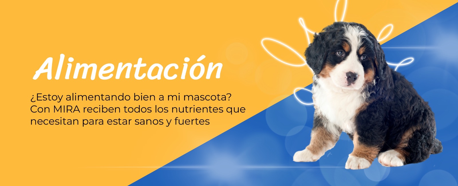 alimento-premium-alimentacion-elanco-mira-super-perro-gato