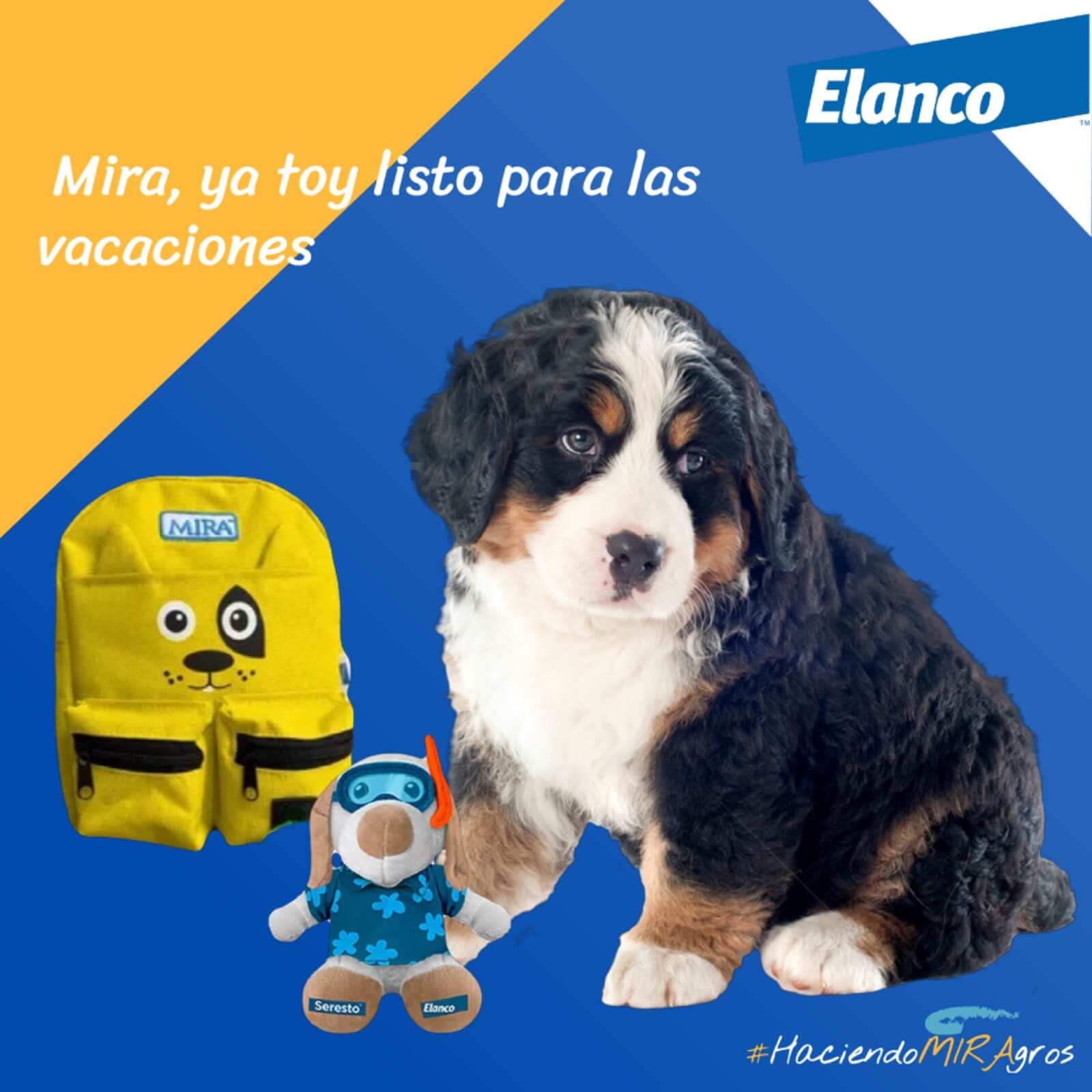 Buen-Fin-ofertas-regalo-croquetas-perro-gato