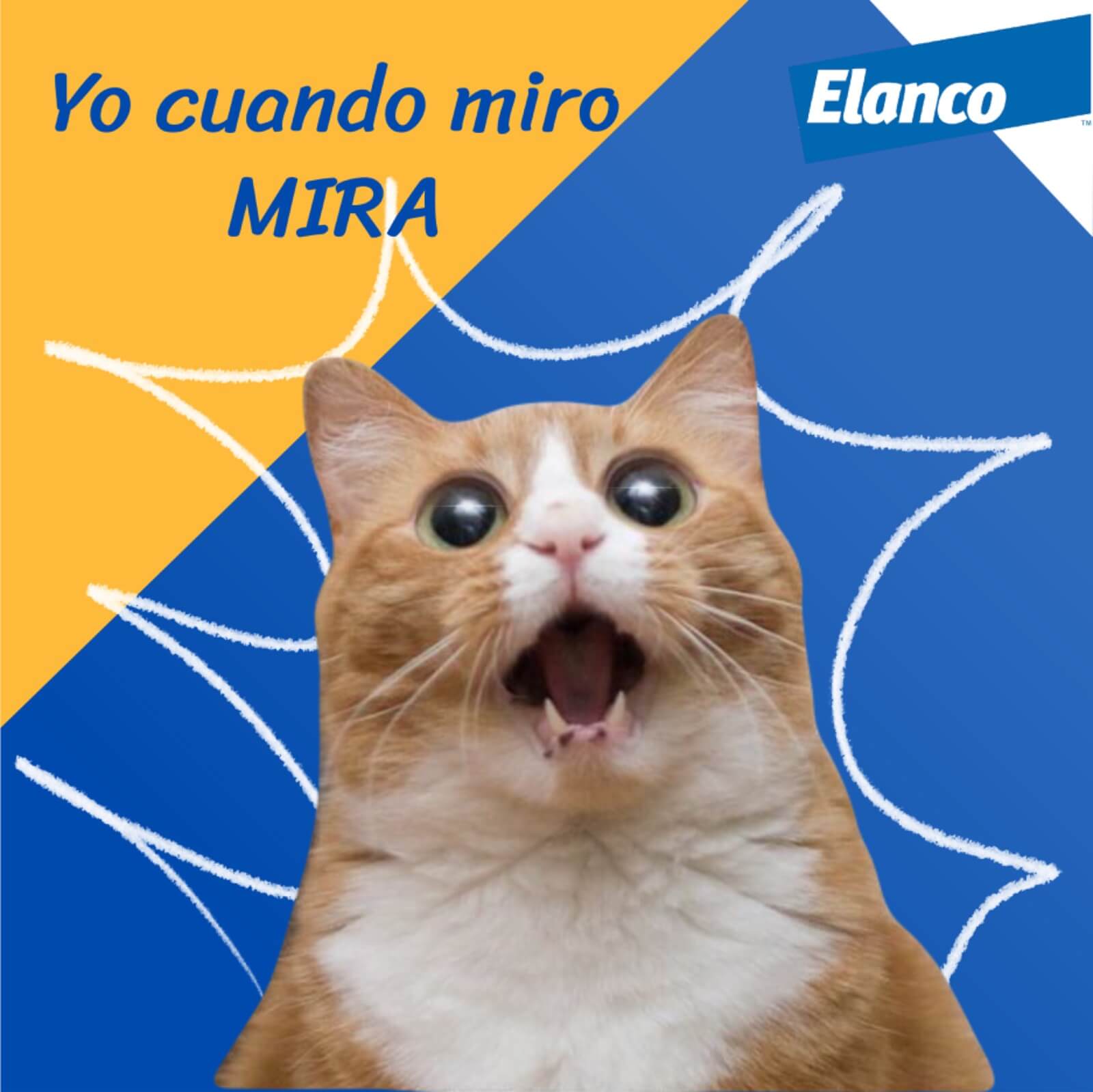 Buen-Fin-ofertas-regalo-croquetas-perro-gato