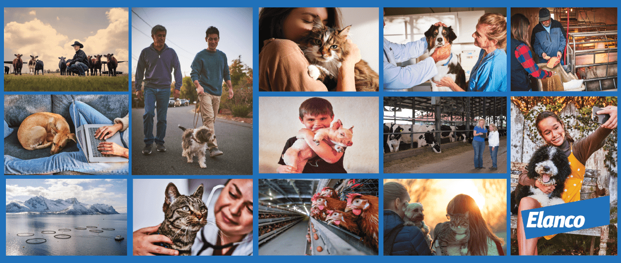 elanco-collage-equipo-trabajo-animales-bienestar