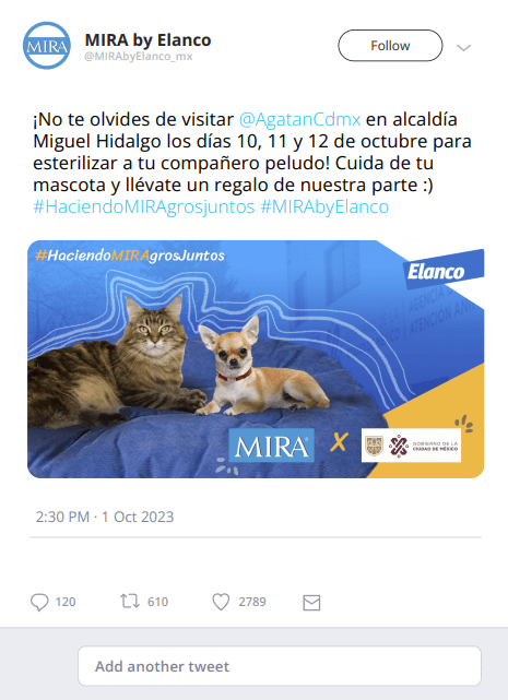 twit-twitter-post-perro-gato